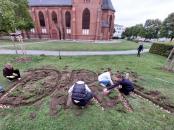 Pflanzaktion Narzissen