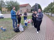 Pflanzaktion Narzissen