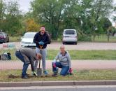 Pflanzaktion Narzissen