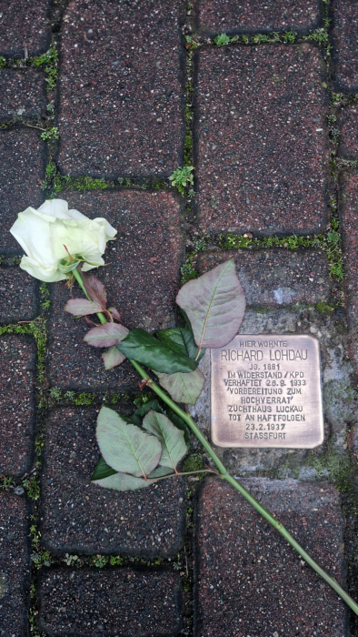 stolpersteine_3.jpg