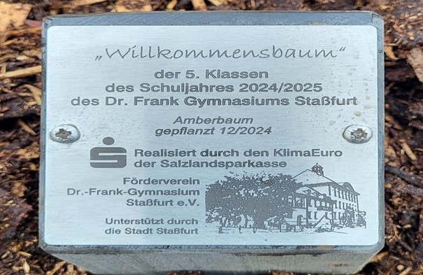baumpflanzen_2024_2.jpg